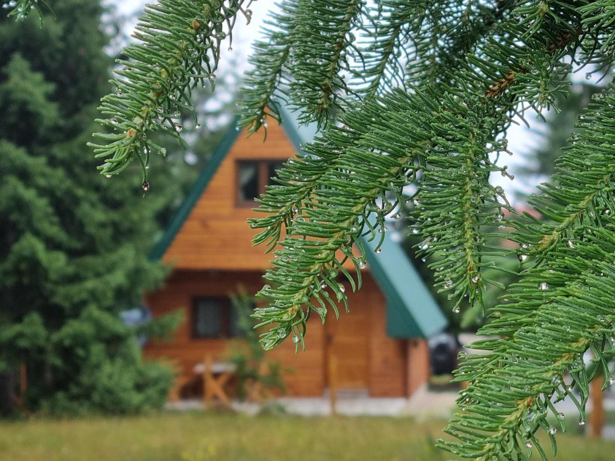 Tatil Evi Hedonist Village